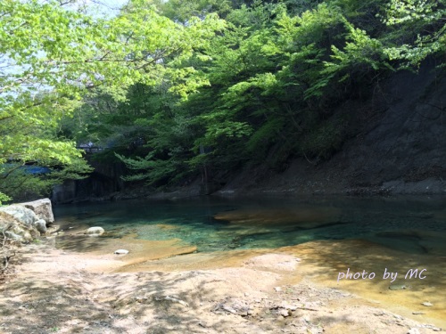 那須をワンちゃんとお散歩 木の俣渓谷 那須でペットも遊べる癒しスポット 夏編